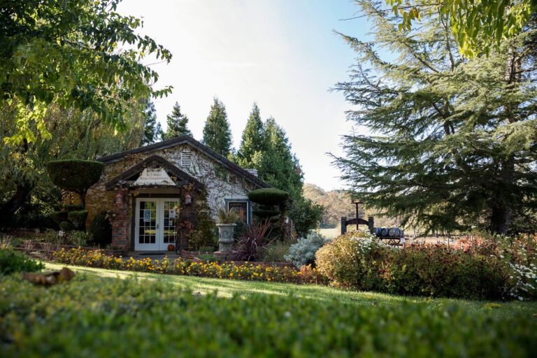 tasting room SML 768x512