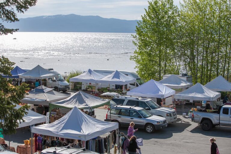 280221883 5098531793564995 1392740265178093042 n 768x512