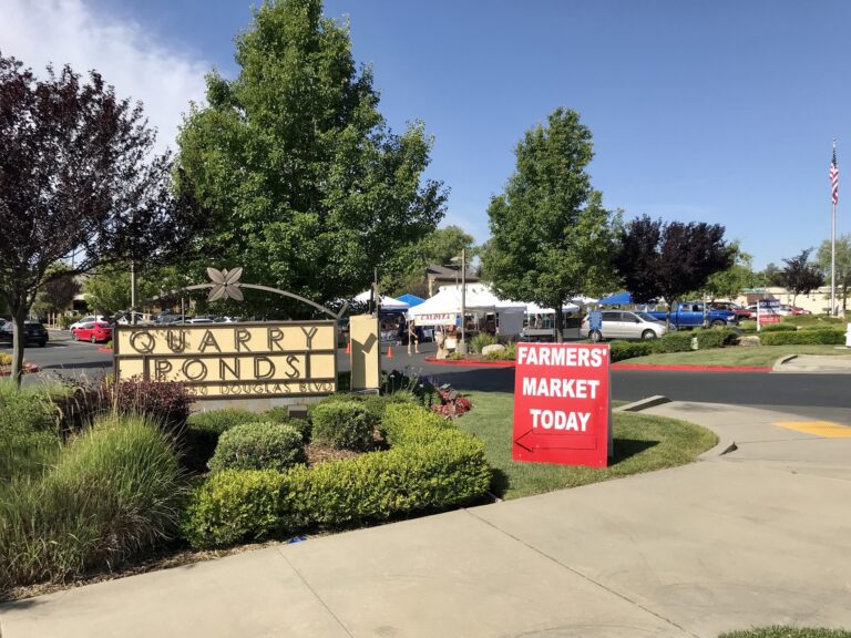 290995034 5471776322890636 2842431262156040956 n 768x576