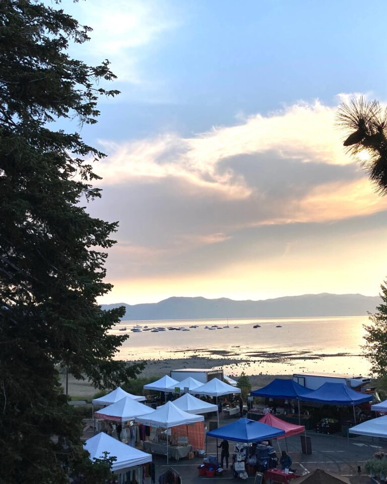 307097348 531951255598747 5953782849594700319 n 768x960