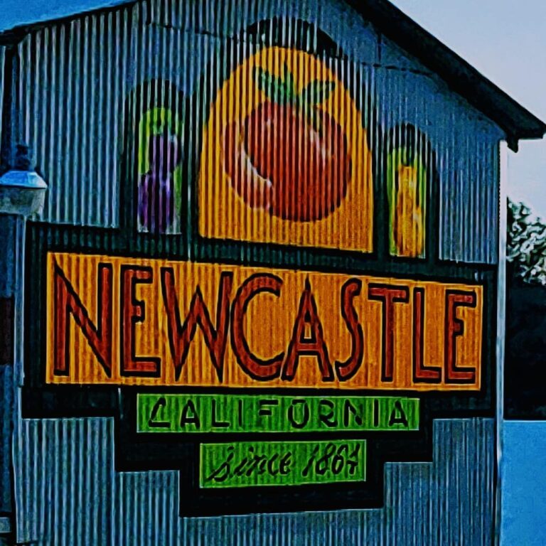 89959710 2821378484565978 3859590038912237568 n 768x768