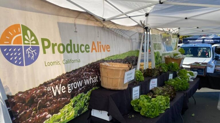 130859137 3742949515773334 806828598044176582 n 768x432