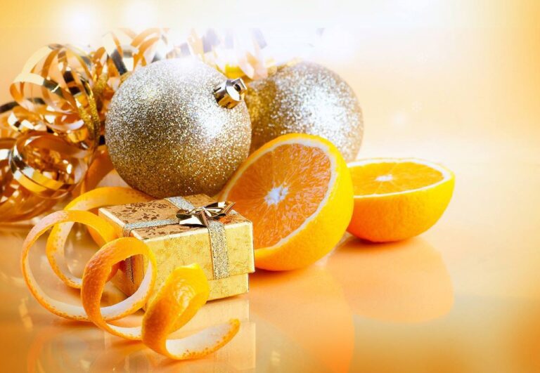 10256575 1538132126427791 3276763748573178012 o 768x531