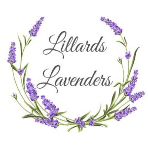 401847557 10230977782978399 7701254899558272094 n 300x300