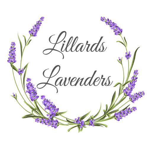 401847557 10230977782978399 7701254899558272094 n