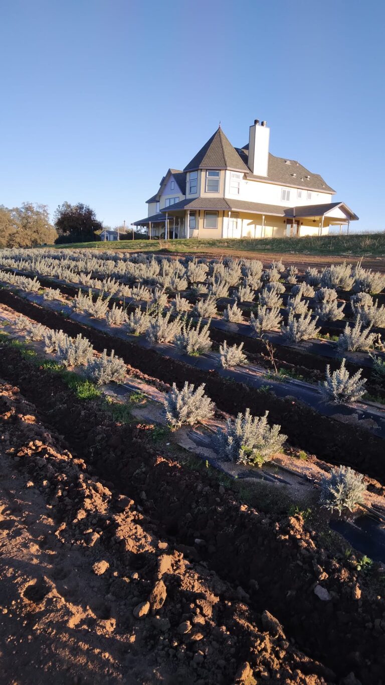 405096509 122111120132113623 4962523042480723628 n 768x1364