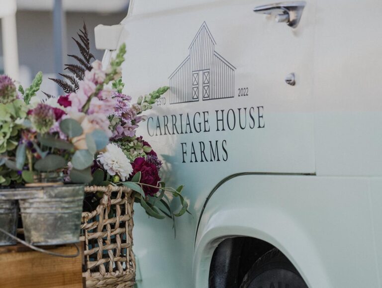 310109184 129669426515711 1869853418898628402 n 768x579