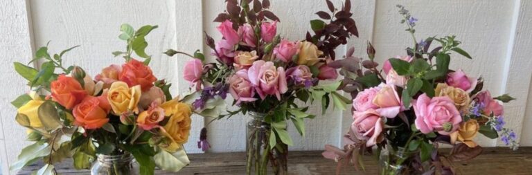 Screenshot 4 10 2024 105750 dutchdoorfarm.com  768x253