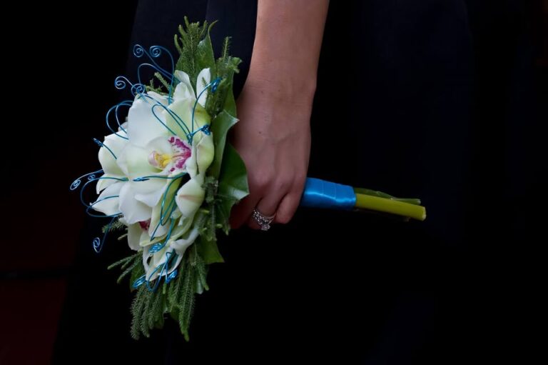 475648105 1141596477965826 1453797855533047065 n 768x511