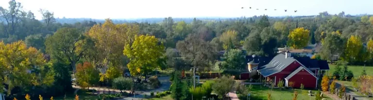 eda6ec 45993189c9e94c10a6d2ed484db7ed95 768x206