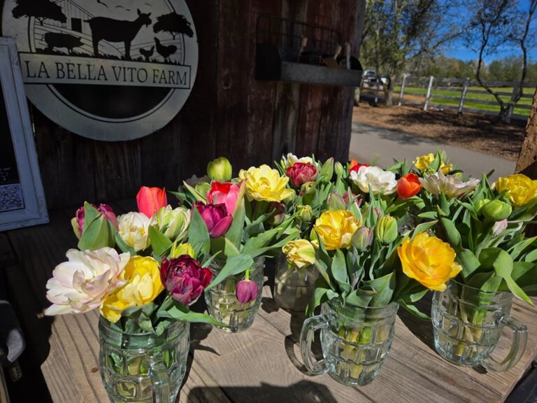 479789192 1049045600601514 8806015296195930716 n 768x576