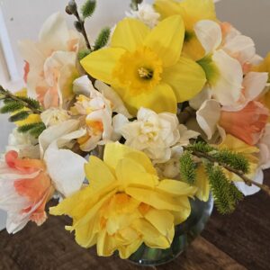 480244782 1034967645342643 6338311711067624538 n 300x300