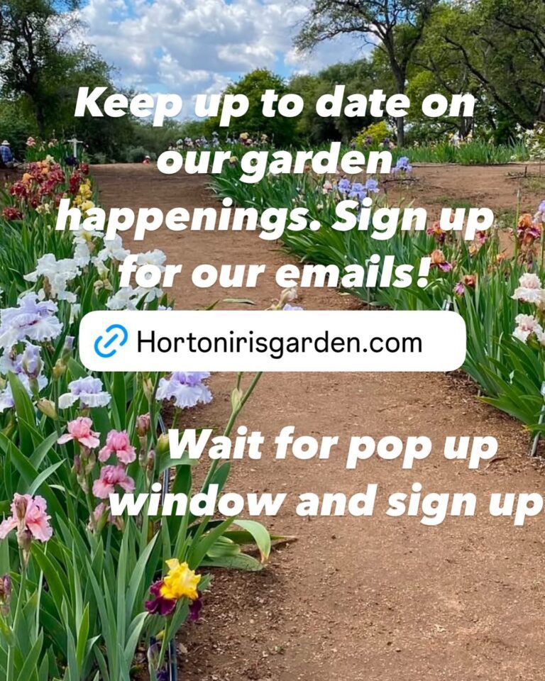 480484096 18270149140264230 7541474955659238258 n 768x960