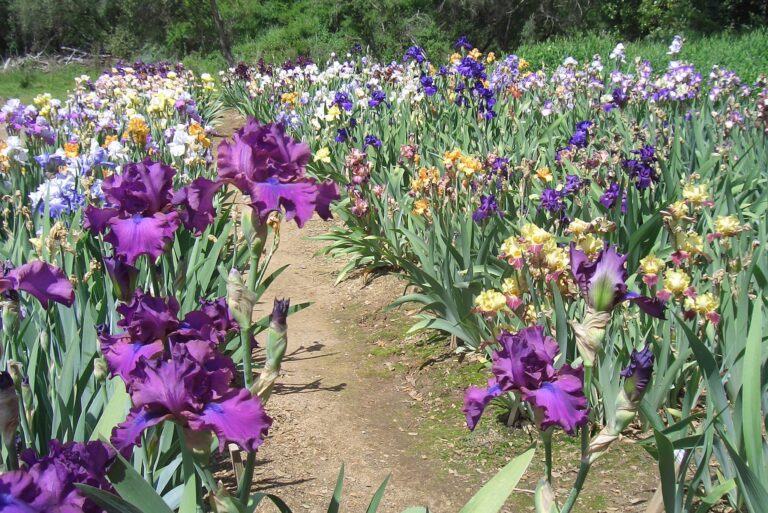 481458085 1044268561066276 2023435808458859112 n 768x513