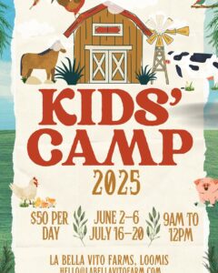 484539190 1054600126712728 139898601797264614 n 240x300