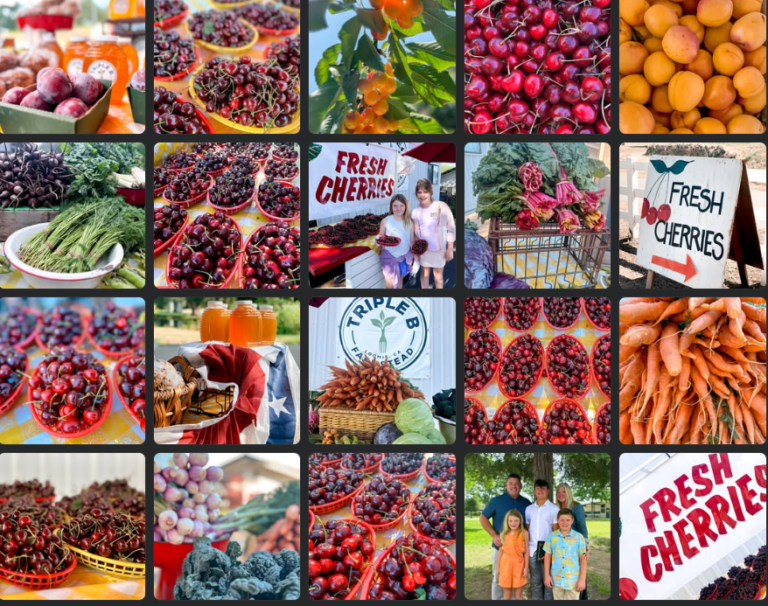 facebookphotos 768x606