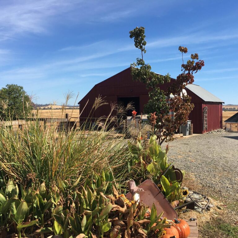 15540618 1519358071412382 4949046089926990694 o 768x768