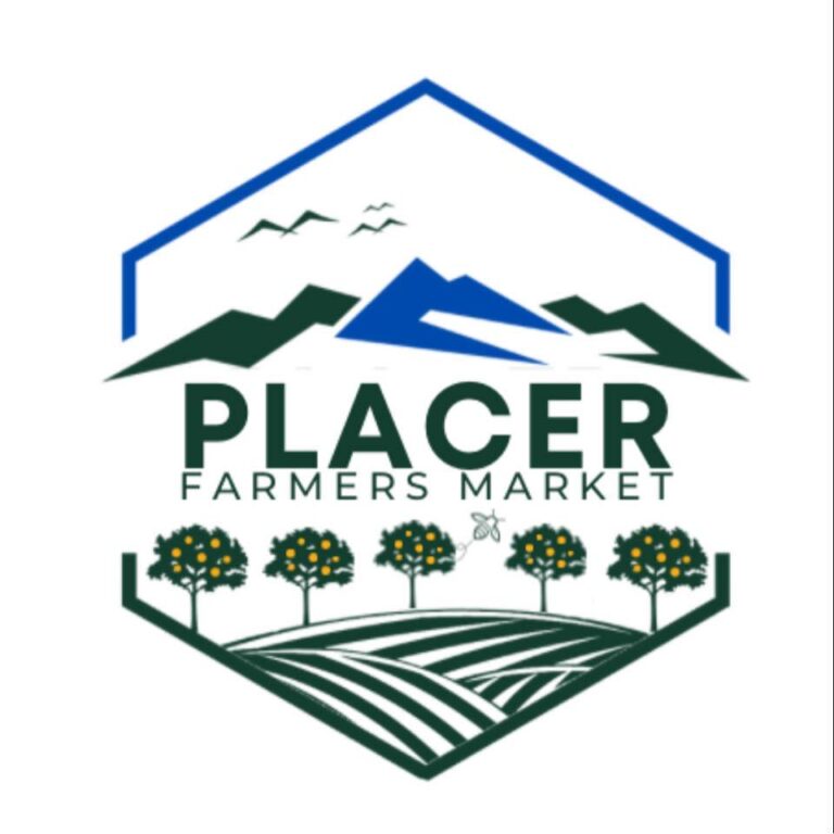 366745472 159020837227101 399744831713493768 n 1 768x768