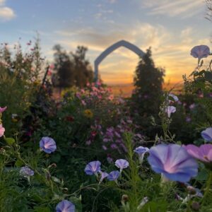 462900436 581248147585073 6588987184224972504 n 300x300