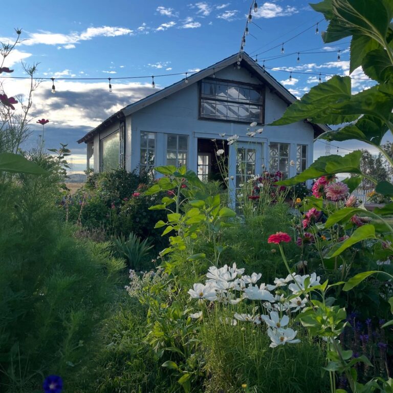 523810856 18060107942362864 1207100930228338406 n 768x768