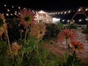 527027800 18060923078362864 6921008924703902225 n 300x225