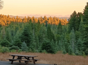 property pic 300x223