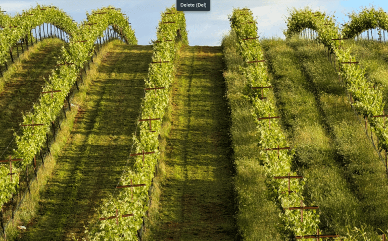 Screenshot 2026 01 27 130905 768x478