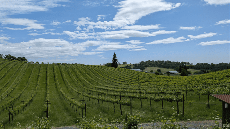 Screenshot 2026 01 27 131007 768x430