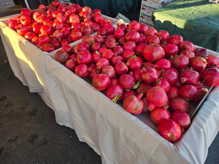 463946515 17919227711988453 4674299789217555084 n 768x576