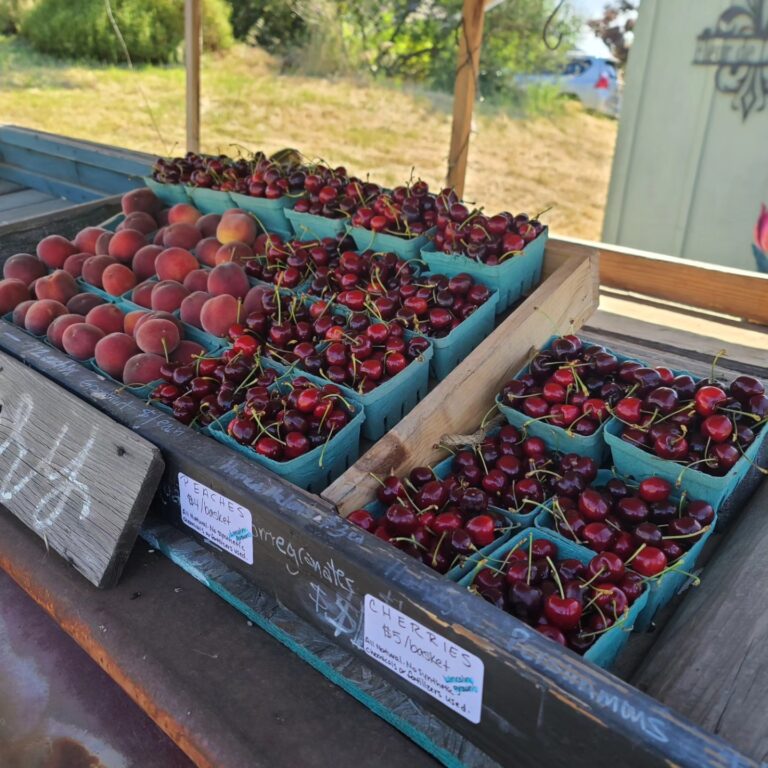 471412950 429667383498093 4471907953918397029 n 768x768