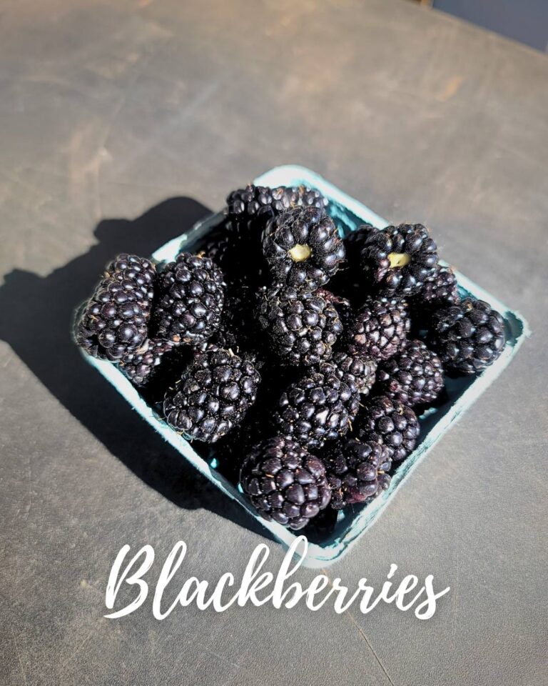 513365108 555721634226000 2721978092489682047 n 768x960