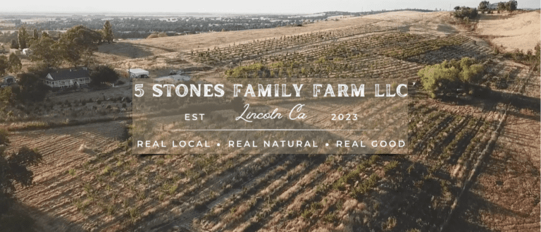 Screenshot 2026 02 11 104316 768x329