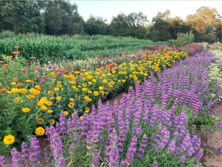 Screenshot 2026 04 10 102041 768x579