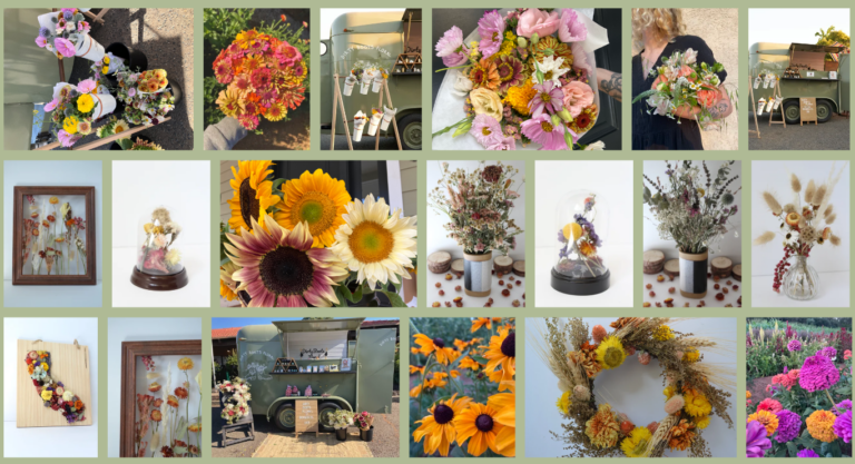 Screenshot 2026 04 10 102146 768x417